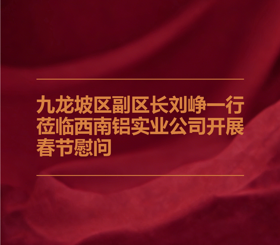 九龙坡区副区长刘峥一行莅临西南铝实业公司开展春节慰问