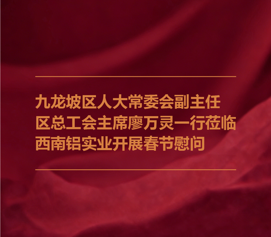 情暖新春送关怀 政企同心促发展 —— 九龙坡区人大常委会副主任、区总工会主席廖万灵一行莅临西南铝实业开展春节慰问 